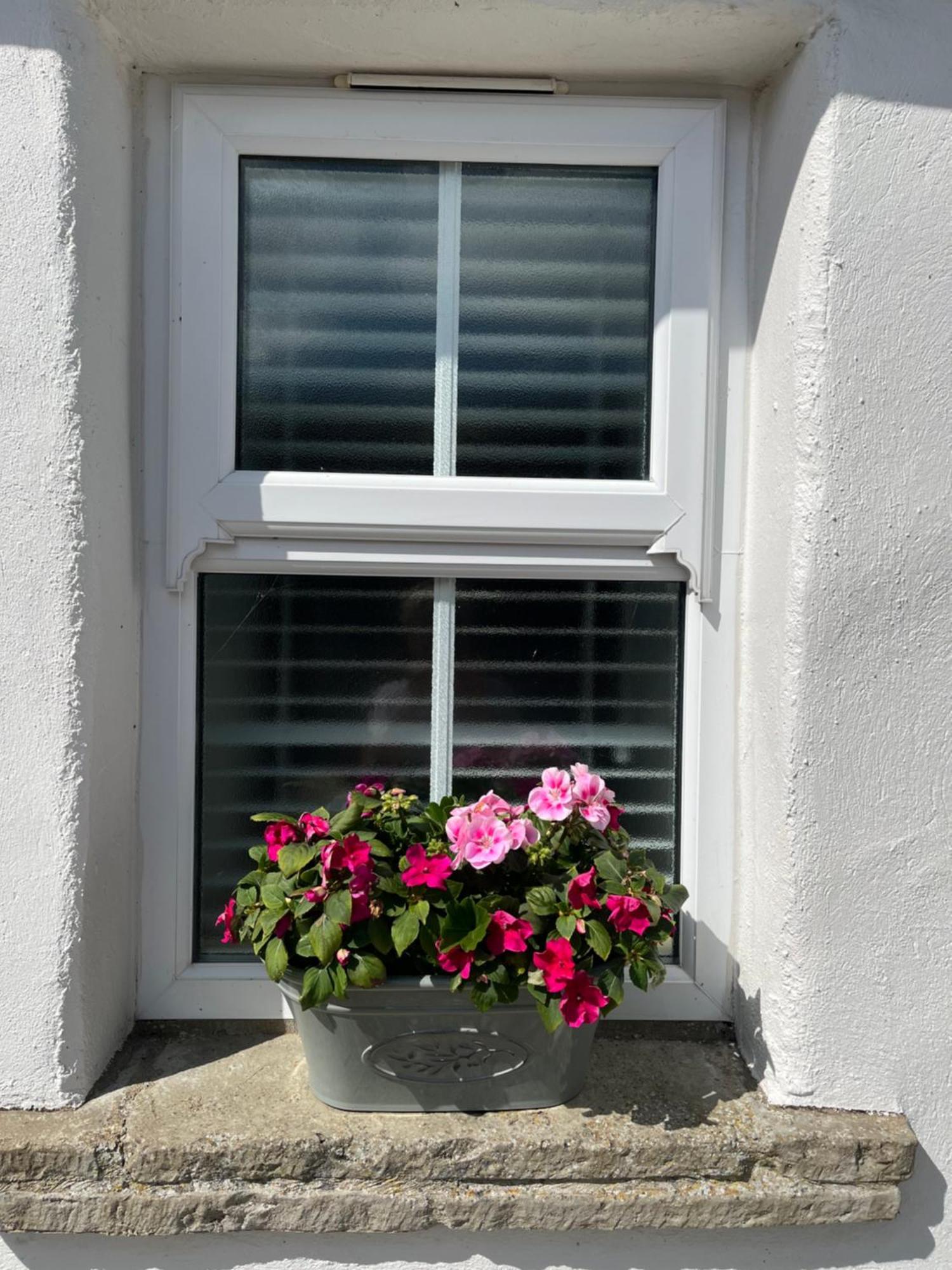 The Cottage At Ashbrook - Charming Country Cottage Near Belfast Esterno foto